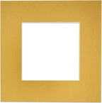 8x10 Mat Bevel Cut for 5.5x8.5 Photos - Acid Free Metallic Gold Precut Matboard - For Pictures, Photos, Framing - 4-ply Thickness