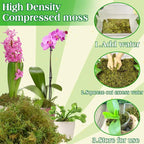 Halatool 1.1LB Green Moss for Potted Plants, 25QT Orchid Moss Potting Mix, Forest Moss for Indoor Plants, Indoor Potting Plant Moss for Repotting Terrariums Garden Reptiles