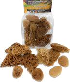 Lullingworth® Artist Natural Sea Sponges: Unbleached 10 Pack 2"-4" Value Set; Creative Art, Faux Painting Effects, Watercolor, Texturing, Marbling, Clay, Pottery, Ceramics, Crafts & Hobbies