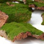 BYHER Assorted Artificial Moss Bark, Decorative Mossy Tree Bark for DIY Crafts, Fairy Gardens, Terrariums, Floral Arrangements (Realistic Green - 100gr)