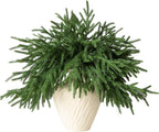6Pcs Artificial Norfolk Pine Branches - 18" Realistic Faux Christmas Greenery Stems Fake Evergreen Cedar Picks Winter Greens for Vase DIY Crafts Garland Wreath Indoor Outdoor Holiday Decor