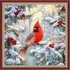 DMCXART Counted Cross Stitch Kits for Adults Needlepoint Kits Unprinted Cross Stitching Embroidery Kit 11CT Cross Stitch Supplies-Colorful Little Bird Snow Scene 18x18 inch