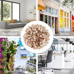 HEALLILY Wood Pieces, 200PCS Hexagon Wood Shape Beech Hexagonal Cutout Shapes Mosaic Tile Ornaments Embellishment DIY Crafts Decorations for Wedding Birthday Christmas (10mm)