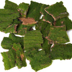 BYHER Assorted Artificial Moss Bark, Decorative Mossy Tree Bark for DIY Crafts, Fairy Gardens, Terrariums, Floral Arrangements (Realistic Green - 100gr)