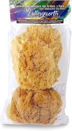 Natural Sea Sponges for Artists - Unbleached 5"-5.5" 2pc Value Pack: Great for Painting Decorating Texturing Sponging Marbling Effects Faux Finishes Crafts & More by Lullingworth®