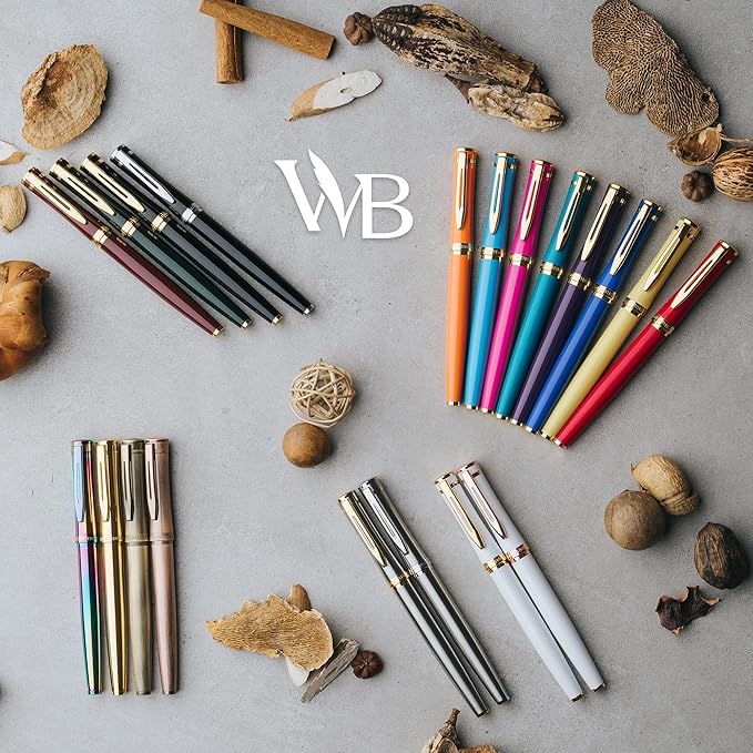 Wordsworth & Black Fountain Pen Set, Fine Nib, Includes 24 Pack Ink Cartridges, Ink Refill Converter & Gift Box, Chrome Finish Finish, Calligraphy, [Silver Chrome], Perfect for Men & Women