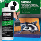 U.S. Art Supply 16 oz Matte Acrylic Varnish for Acrylic Painting, Permanent Clear Protection, Reduces UV & Photography Glare