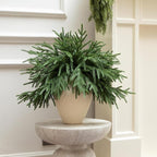 6Pcs Artificial Norfolk Pine Branches - 18" Realistic Faux Christmas Greenery Stems Fake Evergreen Cedar Picks Winter Greens for Vase DIY Crafts Garland Wreath Indoor Outdoor Holiday Decor