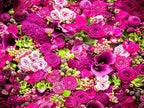 Rose Wall Mural Floral Photo Wallpaper Murals for Wall Decor for Living Room（Not Peel and Stick）