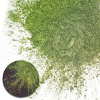 Ceya Highly Chameleon Mica Pigment, 1.8oz/ 50g Elf Green Eyes Chrome Powder, Cosmetic Grade Pearlescent Effect Color Shift Pigment for Epoxy Resin, Makeup, Nail Polish, Soap Dye, Candle Making, Slime