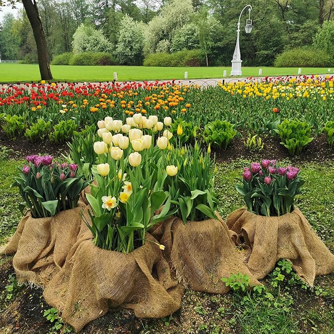 Garden Burlap Roll, 63" x 30 Feet Natural Jute Burlap Fabric Roll for Gardening Raised Bed Liners,Seed Cover,Edging,Weed Barrier,Aisle Runner Plant Cover Tree Protections (63" x 30 Feet)