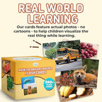 300 Noun Vocabulary Builder Flash Cards, Photo Cards with Learning Games and Teaching Materials for Speech Therapy, ESL, Preschool, Homeschool, Toddlers, Adults, Autism, Dementia, ABA, and Aphasia