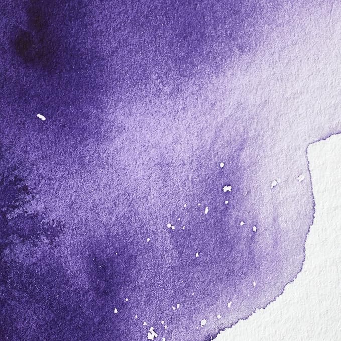 Winsor & Newton Professional Water Colour Paint, Half Pan, Winsor Violet Dioxazine