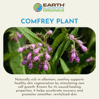 Comfrey Oil Raw with Sunflower Oil, Infused, Pressed Herbal Remedy, Support for Bruises, Sore Muscles, and Healthy Skin, Organic Skincare for All Skin Types - 4 fl oz
