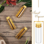 100 Pcs Small Clear Vials Spice Mini Jars with Lids Mini Glass Bottles with Screw Aluminum Metal Caps Tiny Jars Sample Containers for Powder Cream Cosmetic Jewelry Wedding (20 ml,Gold Caps)