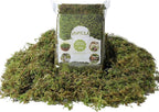 Fake Green Moss for Potted Plants, 4OZ Artificial Moss for DIY Crafts, Faux Moss for Table Centerpieces Fairy Garden Decor (Fresh Green 140gr)