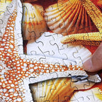 Think2Master Colorful Rainbow of Starfish & Seashells 1000 Pieces Large Format Jigsaw Puzzle for Kids 12+, Teens, Adults & Families. Beautiful Vibrant Illustration Artwork Size: 26.8” X 18.9”