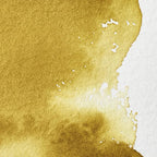 Winsor & Newton Professional Water Colour Paint, Half Pan, Green Gold