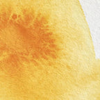 Winsor & Newton Professional Water Colour Paint, 0.17-oz Tube, Cadmium Yellow Deep